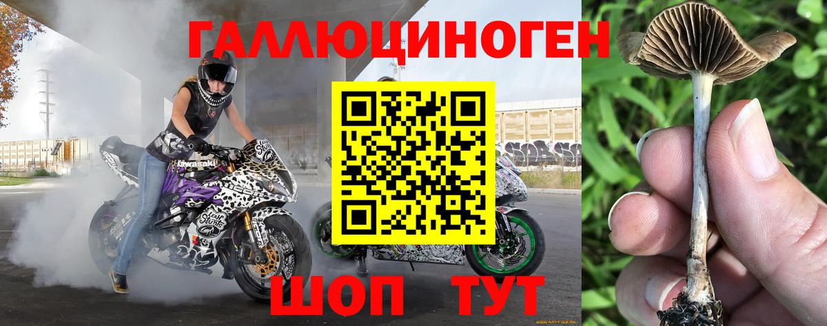 Тельмана  где купить   Вход с VPN  Псилоцибиновые грибы MAGIC MUSHROOMS 