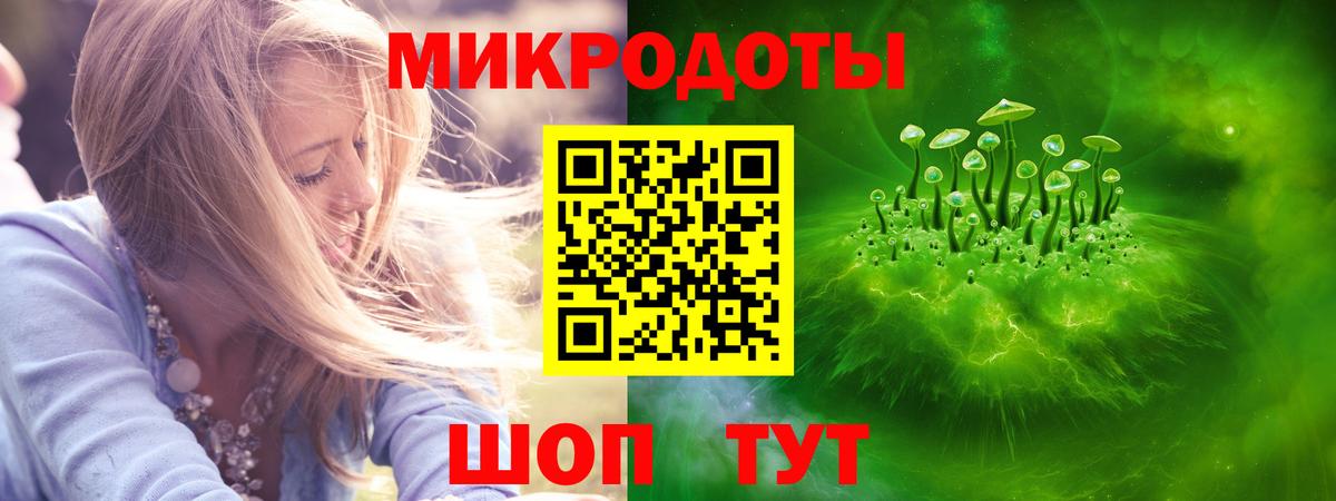 Псилоцибиновые грибы GOLDEN TEACHER Тельмана